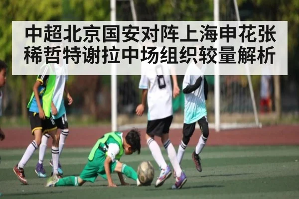 中超北京国安对阵上海申花张稀哲特谢拉中场组织较量解析 - kaiyun